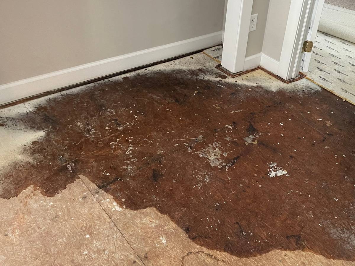 Water damaged subfloor in a bedroom closet during an insurance repair