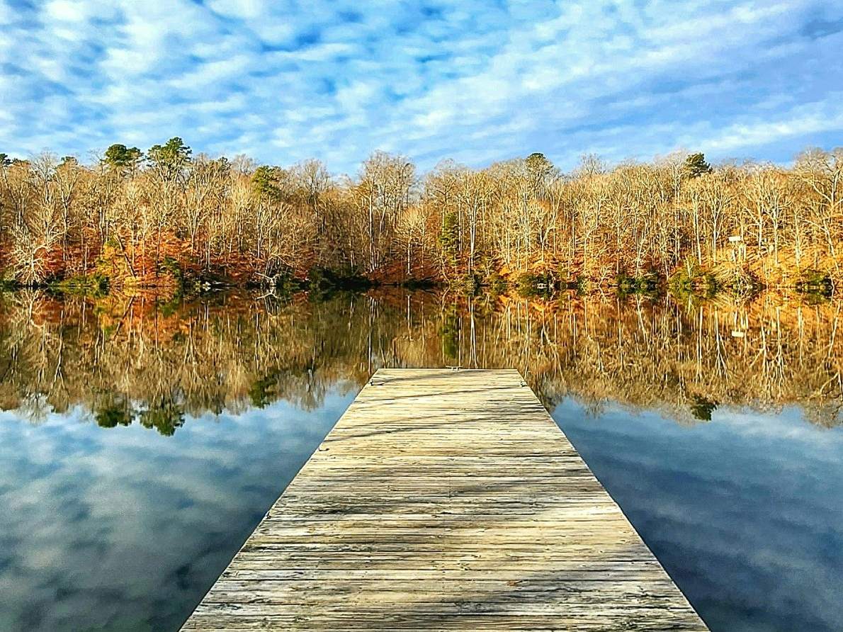 Wooden dock reaching into still water that reflects fall trees and a cloudy sky in Williamsburg